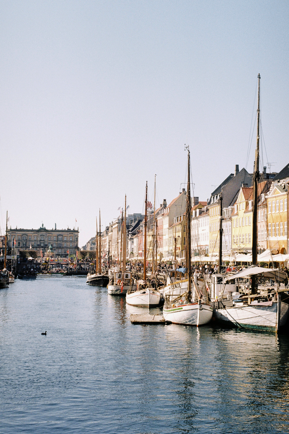 Copenhagen New Haven | Film photography | Kodak Gold 200