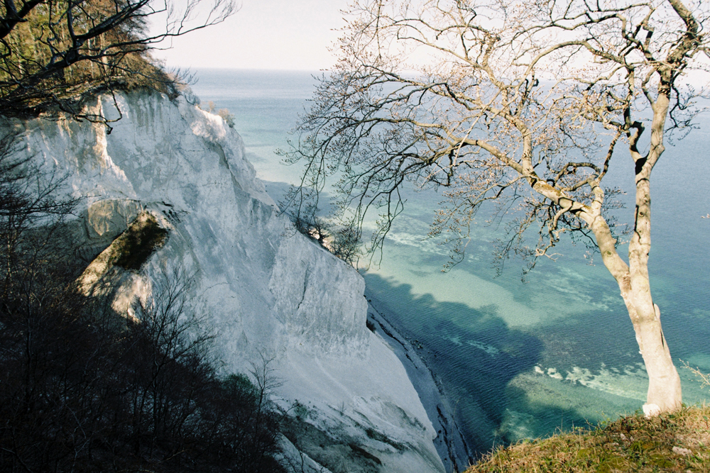 Mons Klint | Скалы Мён-Клинт, Borre, Дания | Фотосессия в Дании